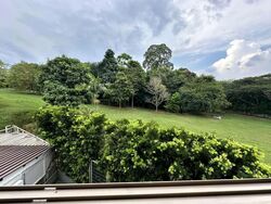Windsor Park (D20), Terrace #588061151